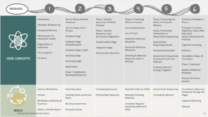 L1 6M Overview 1