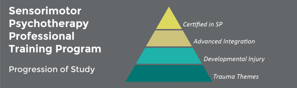 Sensorimotor Psychotherapy (SP) Therapist Training Program