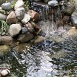 Sandra F Johnson LMSW, MFT, BCD Sandra F Johnson LMSW, MFT, BCD