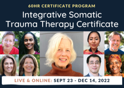 Integrative Somatic Trauma Therapy | The Embody Lab