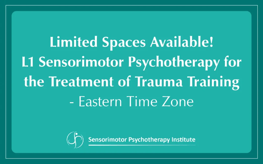 Register Now: Limited Spaces Available! Level 1 Sensorimotor Psychotherapy for the Treatment of Trauma Training – ETZ Time Zone