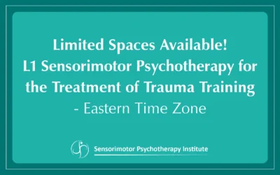 Register Now: Limited Spaces Available! Level 1 Sensorimotor Psychotherapy for the Treatment of Trauma Training – ETZ Time Zone