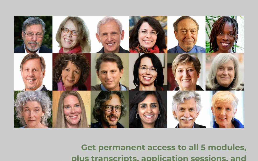 An Advanced Master Program to Make You a Better Trauma Therapist