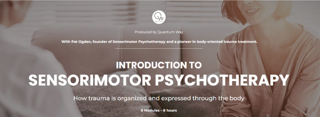Introduction to Sensorimotor Psychotherapy – Quantum Way